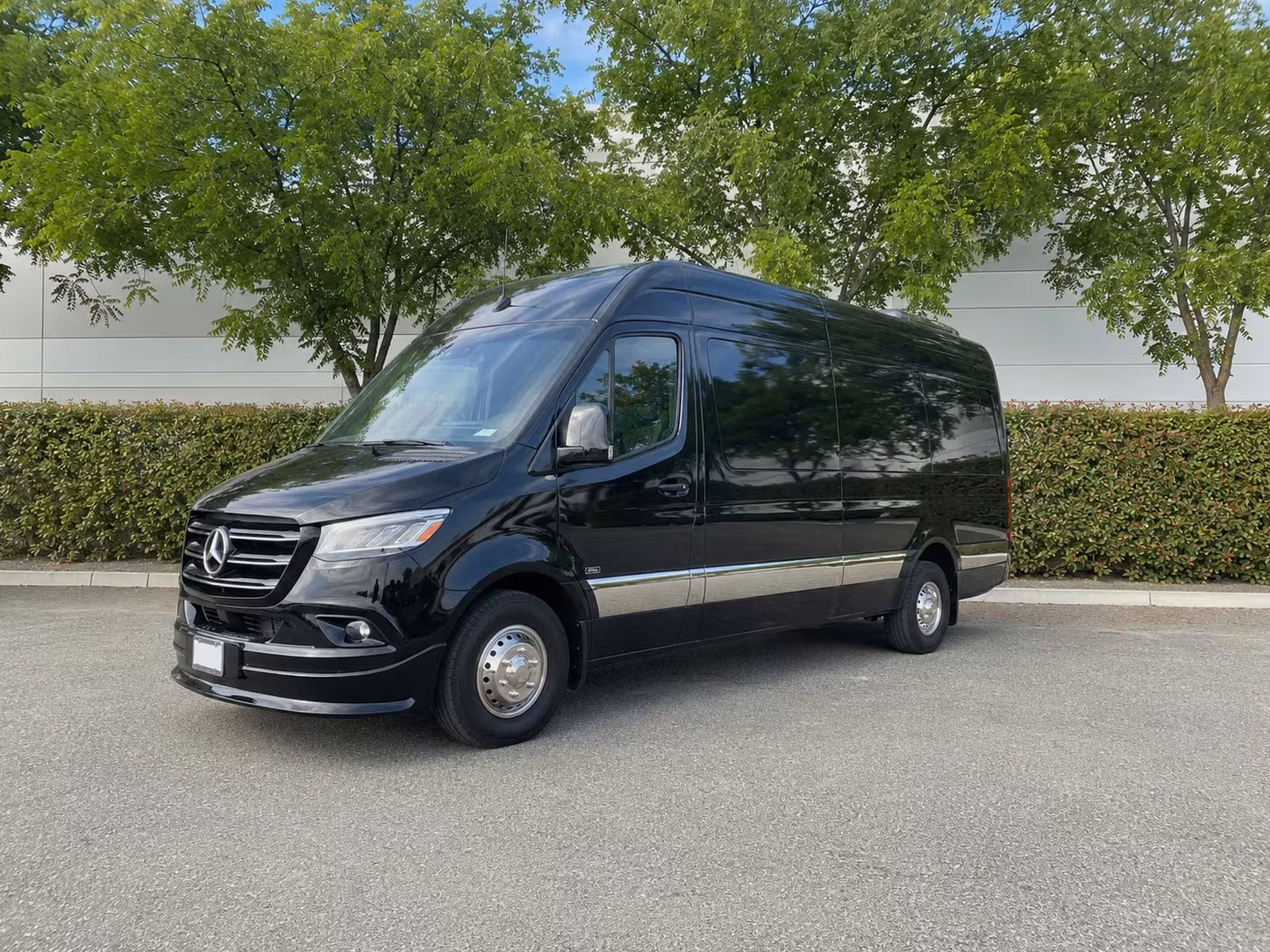 sprinter van with driver
