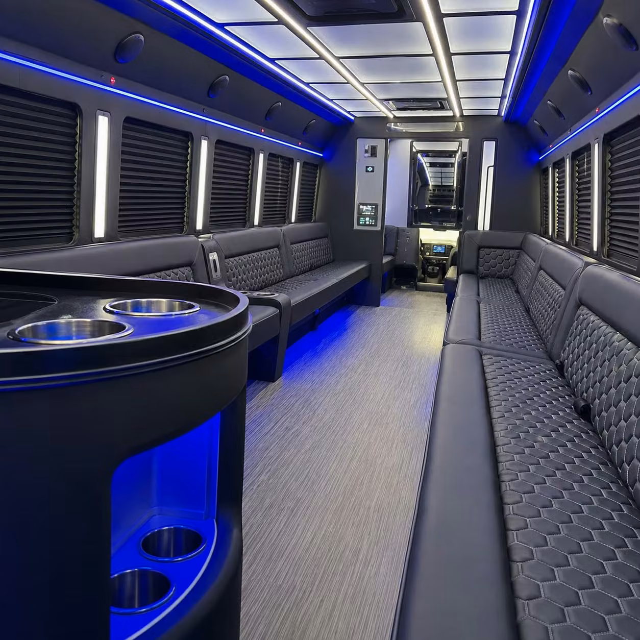 your ypsilanti bachelorette party or birthday night out deserves a party bus